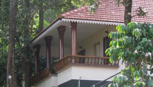 Green Garden Holiday Home Wayanad. Daisy