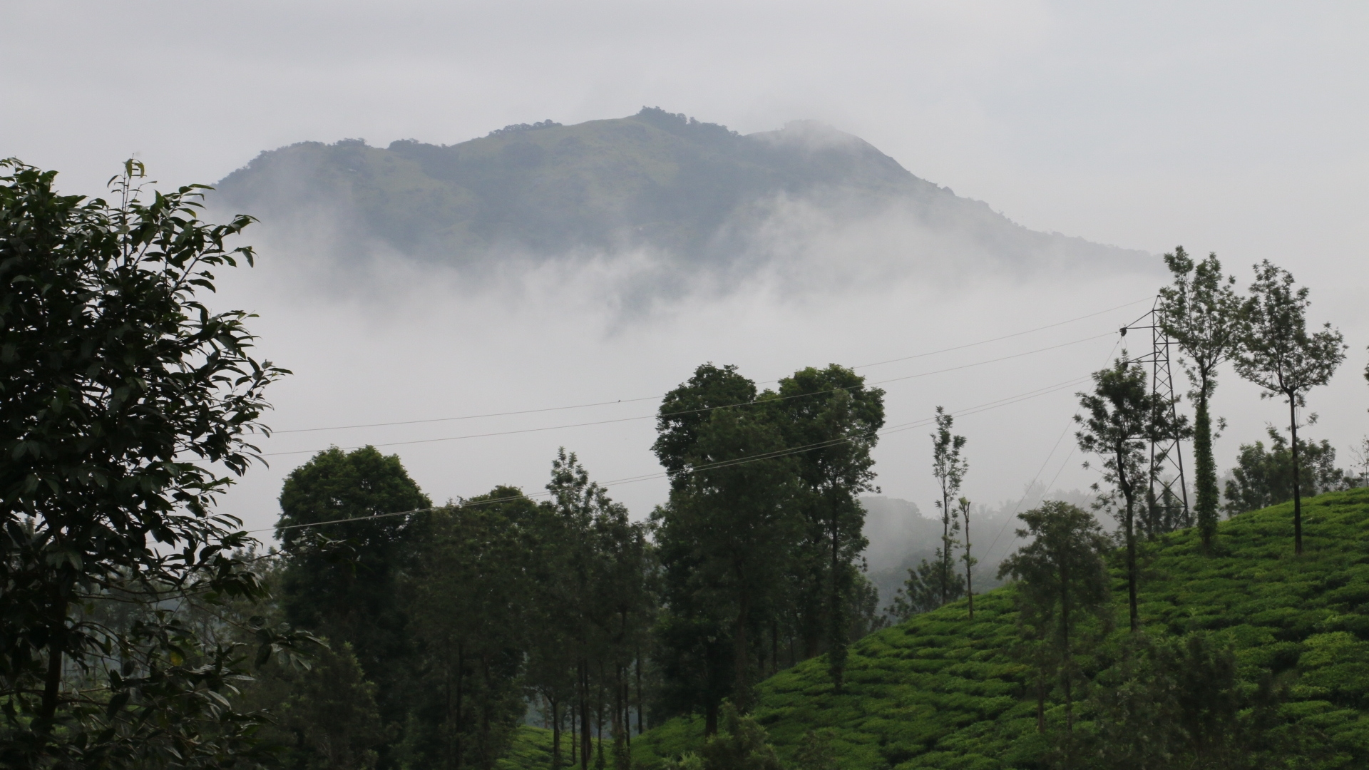 Green Garden Holiday Home Wayanad