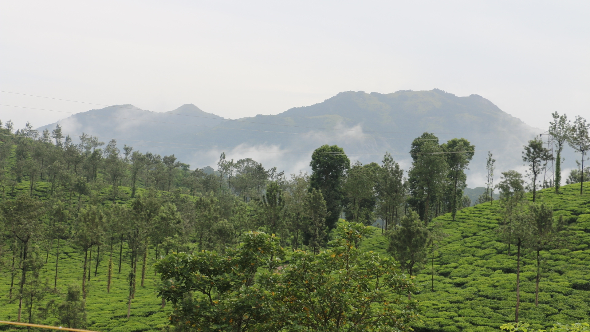 Green Garden Holiday Home Wayanad