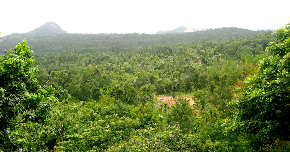 അമ്പ് കുത്തി മല