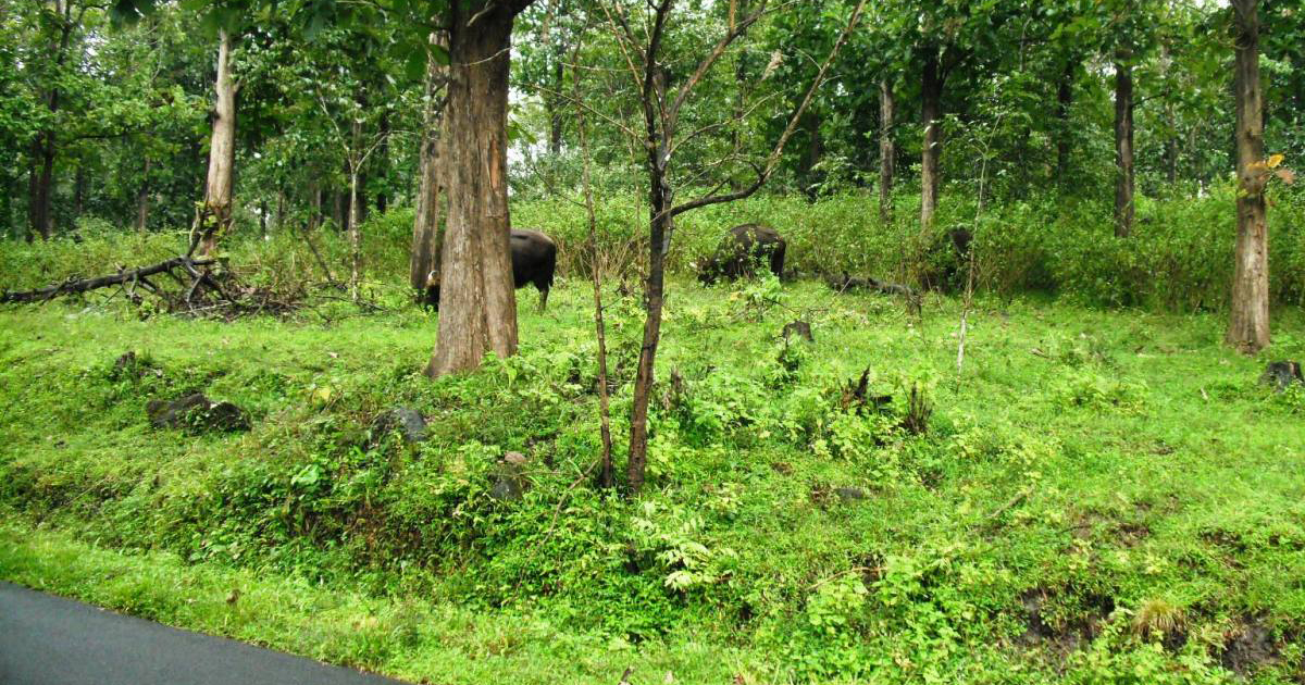 തോൽപ്പെട്ടി വന്യജീവി സങ്കേതം