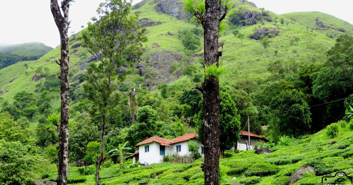 മേപ്പാടി