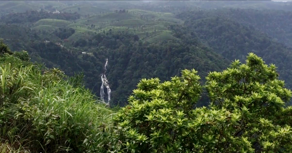 നീലിമല view point