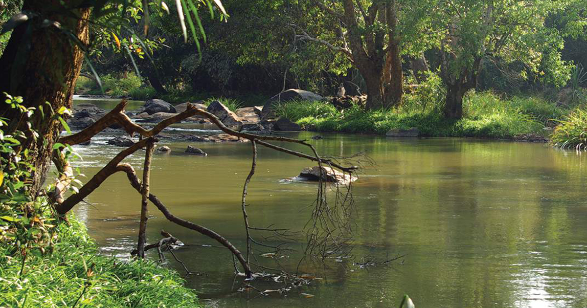 കുറുവ ദീപ്